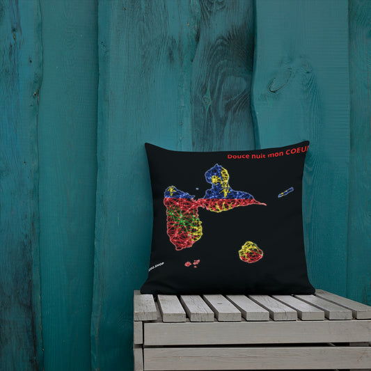 Coussin Haut de Gamme