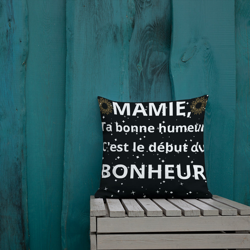 Coussin Haut de Gamme *MAMIE #2