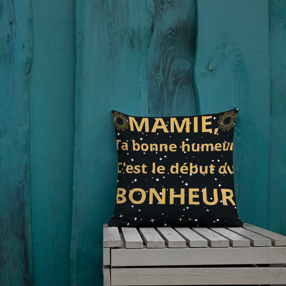 Coussin Haut de Gamme *MAMIE #1