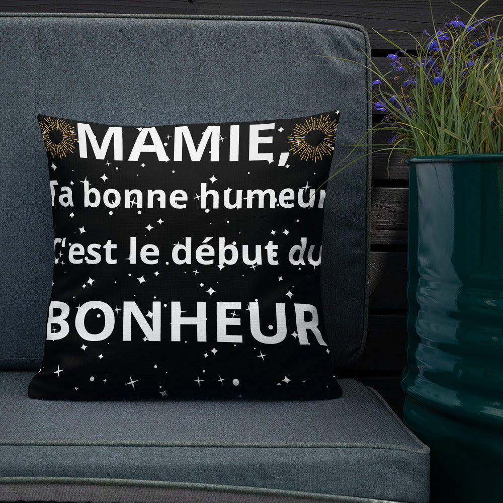 Coussin Haut de Gamme *MAMIE #2